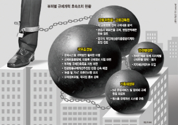 규제개혁 후속조치 '속도'..덩어리 규제 재검토(종합)
