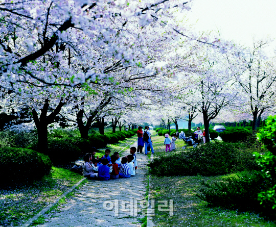 나들이철, "꽃소식과 함께 식중독 환자 늘어 주의해야"
