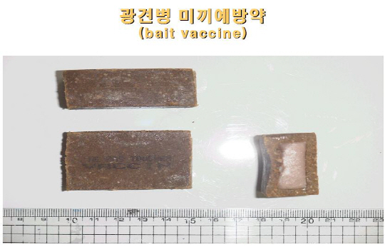 서울시, 광견병 미끼예방약 4만개 살포