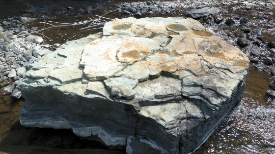 울산 반구대암각화 인근 바위서 공룡발자국 또 발견