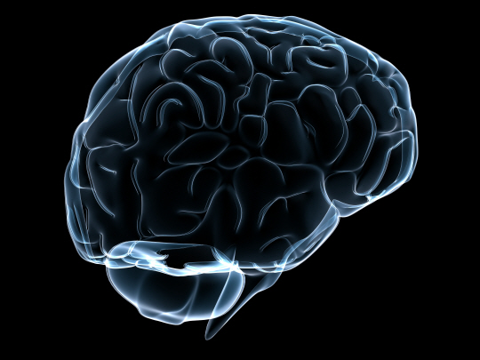 인간의 두뇌 능력, '이 때' 부터 떨어진다