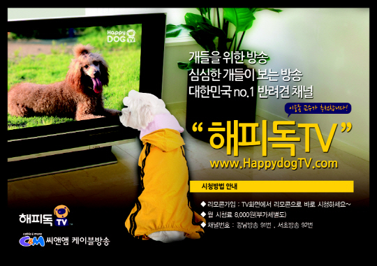 케이블 방송은 '도그(Dog) 채널' 전성시대