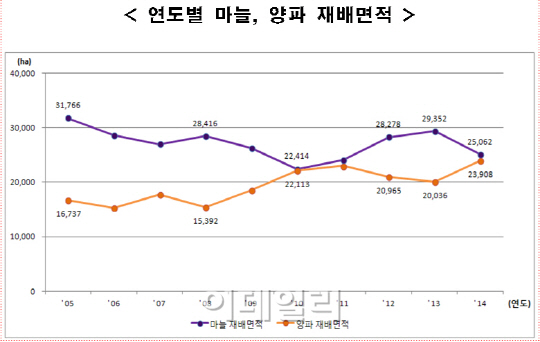 마늘값 떨어지자 재배면적 ‘급감’