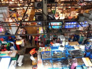 [6·4 민심르포-서울]‘소통’과 ‘포부’…서울민심의 선택은 누구                                                                                                                                         