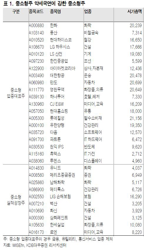 [투자의맥]중소형주 중에서도 대표주·성장주 찾아라