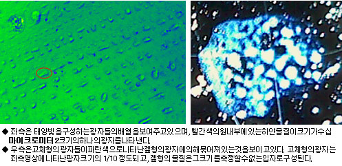 세종대전자공학과김병환교수, 빛광자영상최초획득에성공