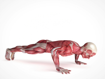 얼차려의 후유증? '횡문근 융해증' 원인·증상·치료법 살펴보니