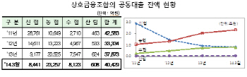 농협·수협 등 상호금융 공동대출 관리·감독 강화