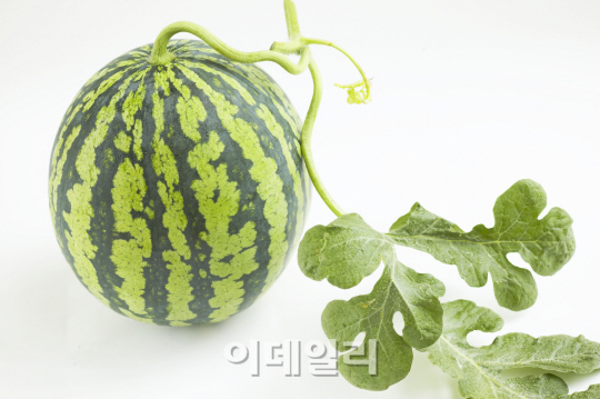 수박, 참외 등 제철과일 봇물, '만성 신장질환자'는 주의해야