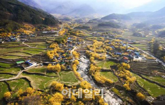 '구례 산수유농업·담양 대나무밭' 국가중요농업유산 지정