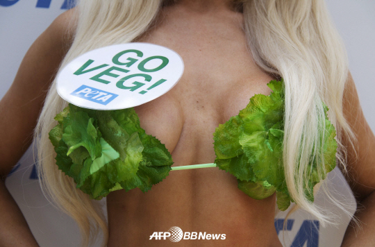 양상추 비키니女, 19금 홍보  "GO VEG!"                                                                                                                                                   