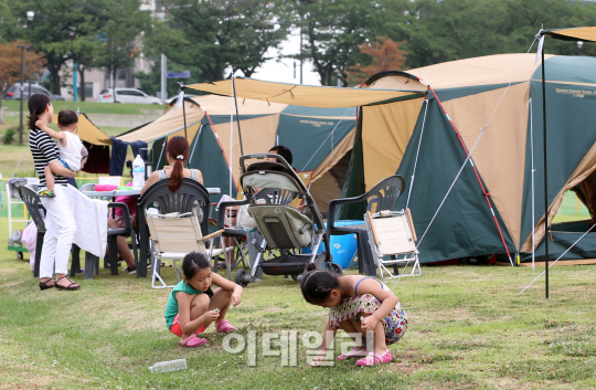 [포토]'한강에서 느끼는 자연'