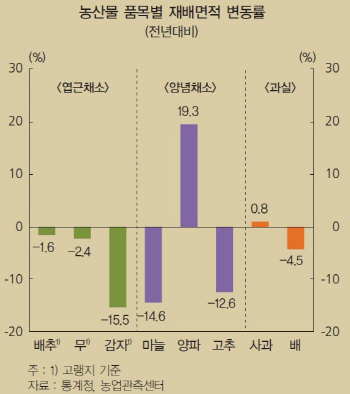  농산물가격 오를 것, 공급량축소+엘니뇨