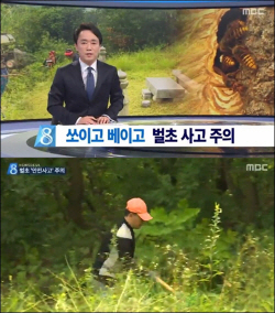 추석 벌초 안전사고 주의와 예방 필요, 5~7월 환자 증가