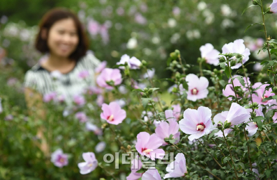 [포토]산림청, 나라꽃 무궁화 전국축제-5