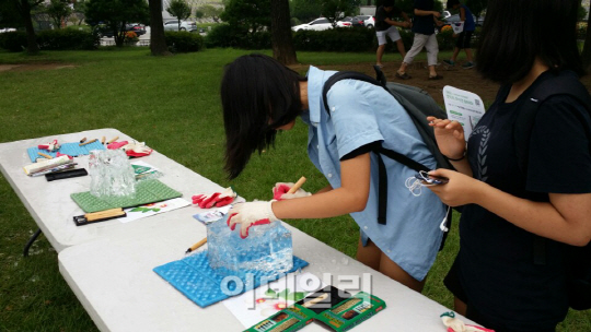 [포토]산림청, 나라꽃 무궁화 전국축제-4