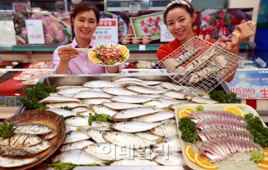 [포토]가을 전어 맛보세요~