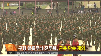 구형 전투복 단속 제외, '벌금 10만원 또는 구류' 사라져