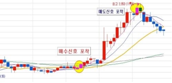 ‘물폭탄’ 피해속출 계좌! 3년 만에 70,800%!! 원인 밝혀져