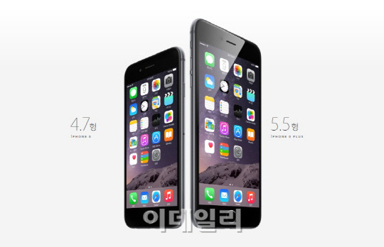 아이폰6·아이폰6 플러스 韓 첫 가입자 탄생, '후기 내용..'