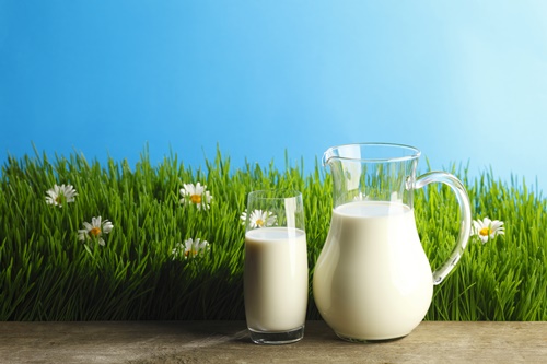 동맥경화, 고혈압,비만 등 성인병 예방하는 ‘우유’