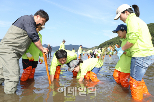 대우조선 '바다식목일' 기념에 앞장