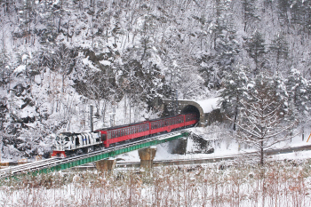 코레일, 중부내륙관광열차 사진공모전 수상작 발표