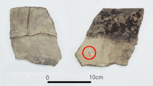 日보다 2000년 앞선 가장 오래된 팥 흔적, 韓발견 의의