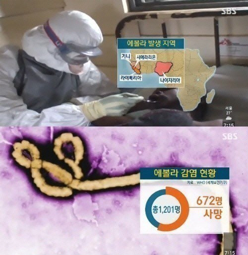 美 에볼라 환자 애완견, 감염 검사서 '음성'