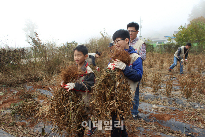 대한항공, 홍천 명동리 마을서 일손돕기 봉사활동