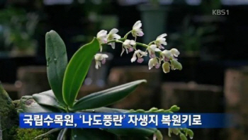 나도풍란 자생지 복원, '꽃과 잎' 아름답단 이유로 그만..