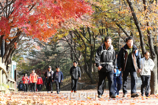 [포토]관악산 가을풍경