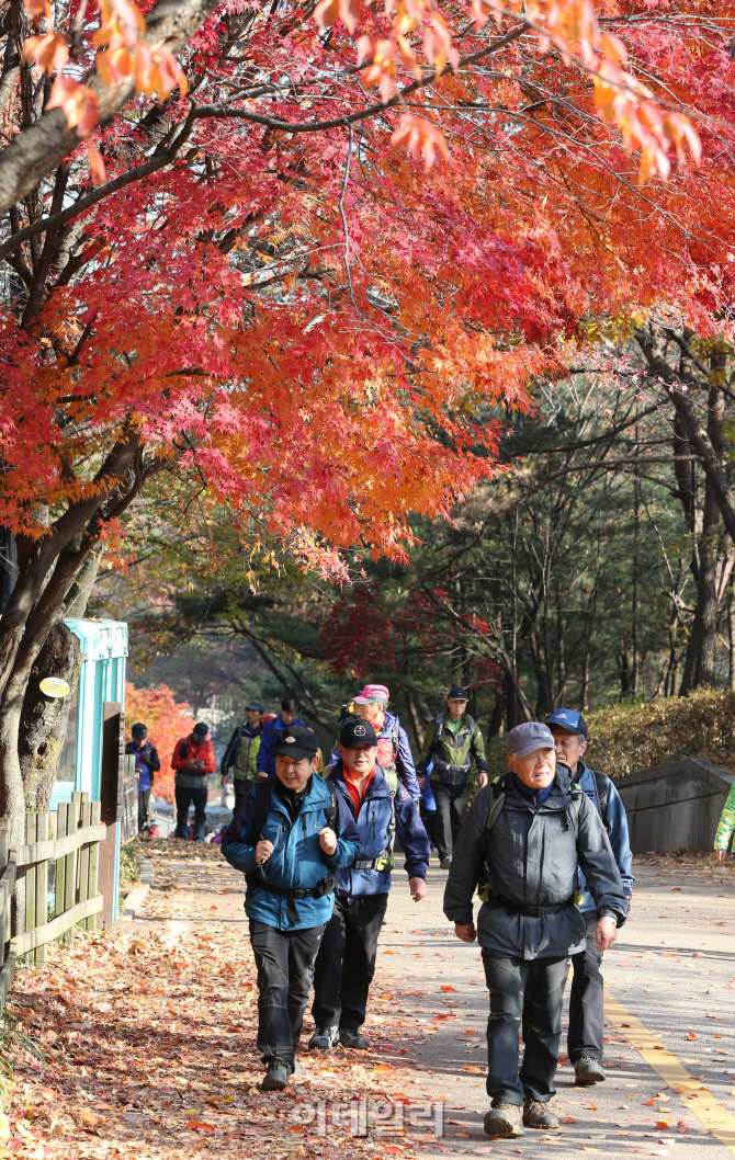 [포토]막바지로 치닫는 단풍의 향연