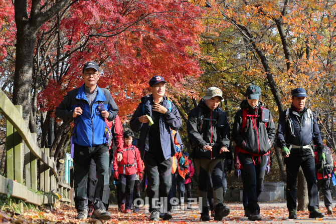 [포토]막바지로 치닫는 단풍놀이