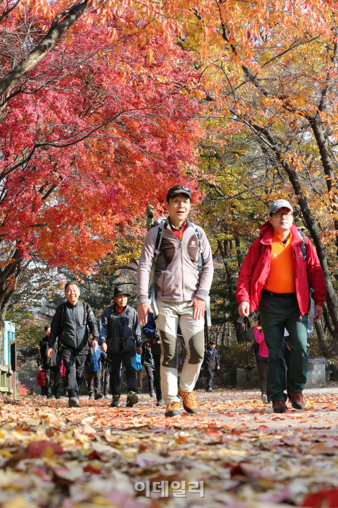 [포토]가을의 끝자락