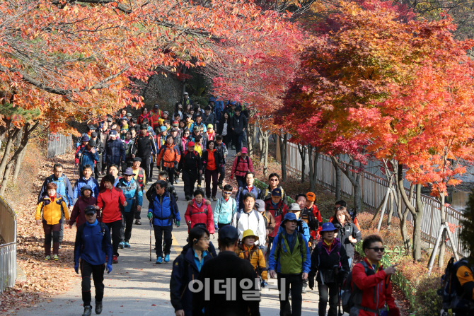 [포토]가을풍경