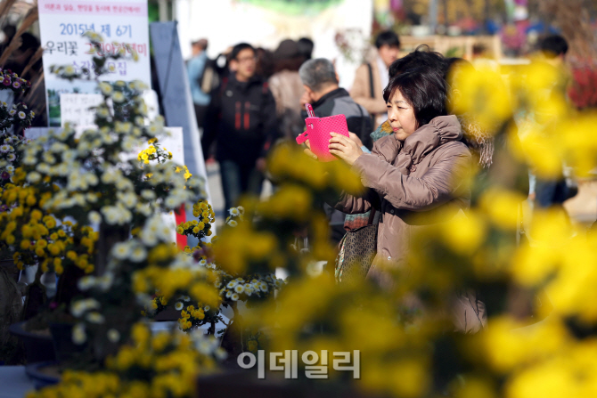 [포토]스마트폰으로 담아야지!