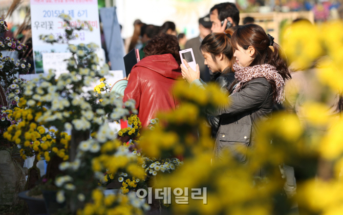 [포토]스마트폰으로 담아야지!