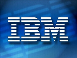 [비즈니스X파일]변신의 귀재 IBM의 위기