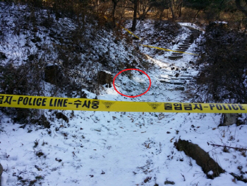 "장기매매 아니다" 토막 시신 사건, 근거보니…"심장이 뛰고 있는 상태에서..."