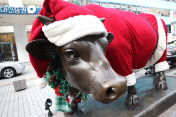 여의도에 등장한 '황소 산타'