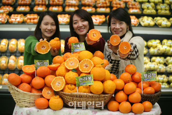 [포토]농협유통, 국산 오렌지류 소비촉진행사