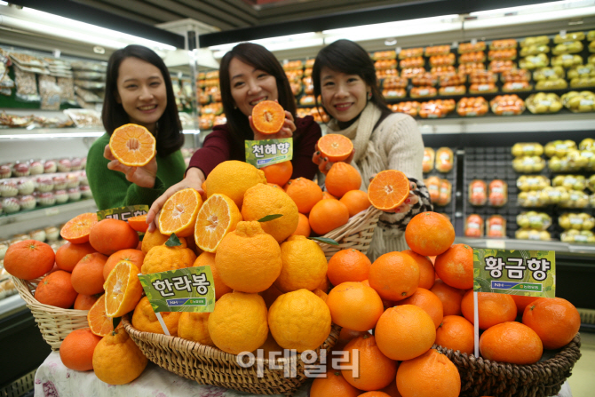 [포토]농협유통, 국산 오렌지류 소비촉진 행사