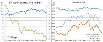 소비자심리 1년3개월만 최저, 엔저·저유가에 불안감 확대