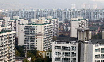  "임대주택 늘리고, 매매대출 문턱 낮춰야"