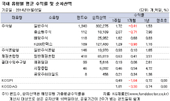 주식형펀드, 국내는 '우울' 연말 랠리에 해외는 '방긋'