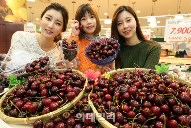 [포토]롯데마트, FTA 무관세 호주 체리 첫 출하