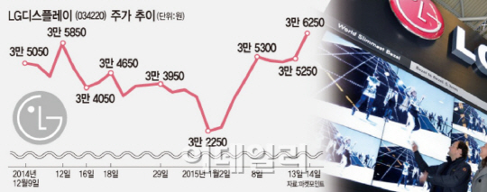 LGD, 외국인 러브콜 힘입어 견고한 상승…52주 신고가(종합)