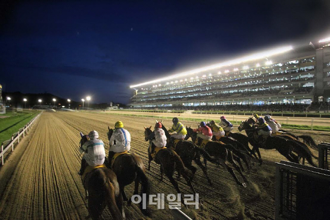 마사회-마주협 갈등 고조..경마 중단 사태 오나