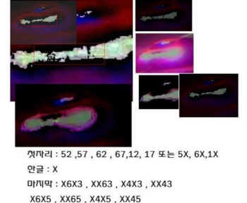 '크림빵 뺑소니' 보배드림 회원들이 알아낸 차량번호·차종은?                                                                                                                                    